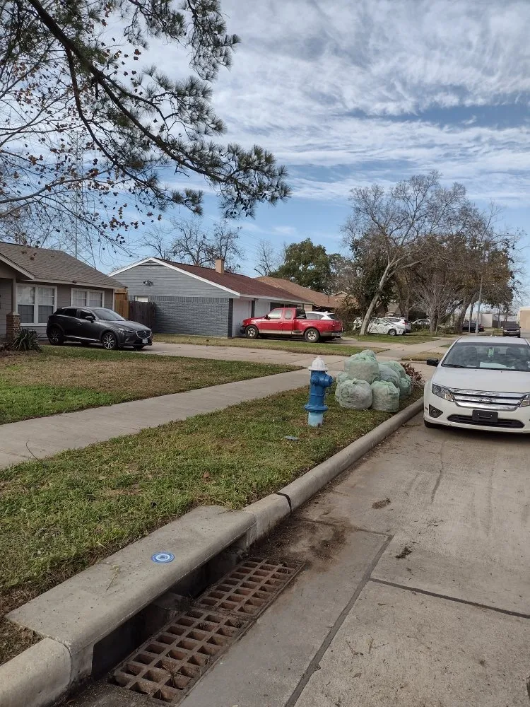 Reliable landscape design in Houston, TX by Scotts Do All