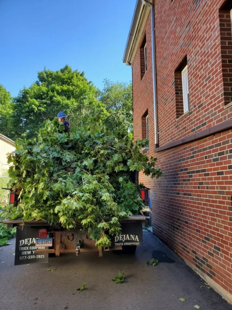 Local yard cleanup service in New London, CT - Scott's Family Landscaping