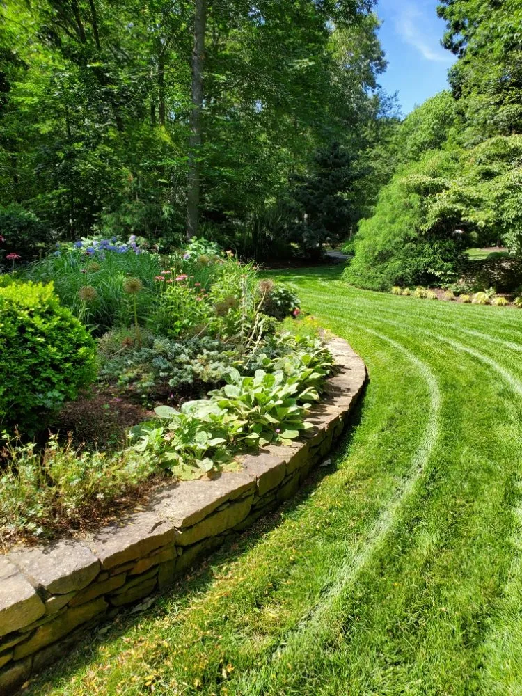 Professional yard maintenance near you in New London, CT by Scott's Family Landscaping