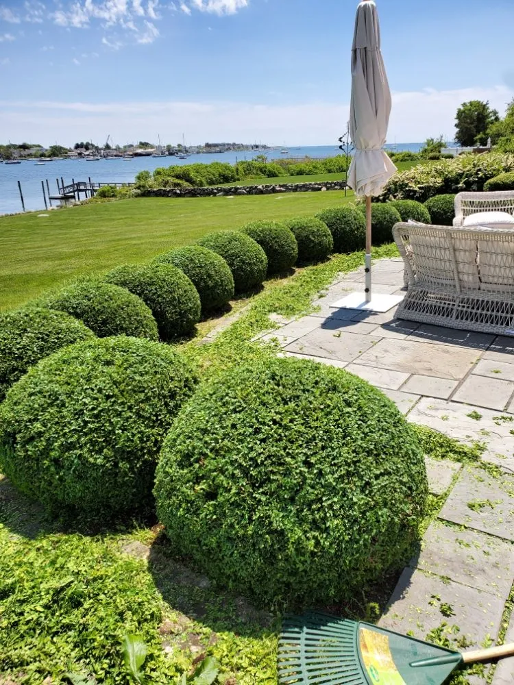 Expert yard cleanup service with custom design across New London, CT - Scott's Family Landscaping