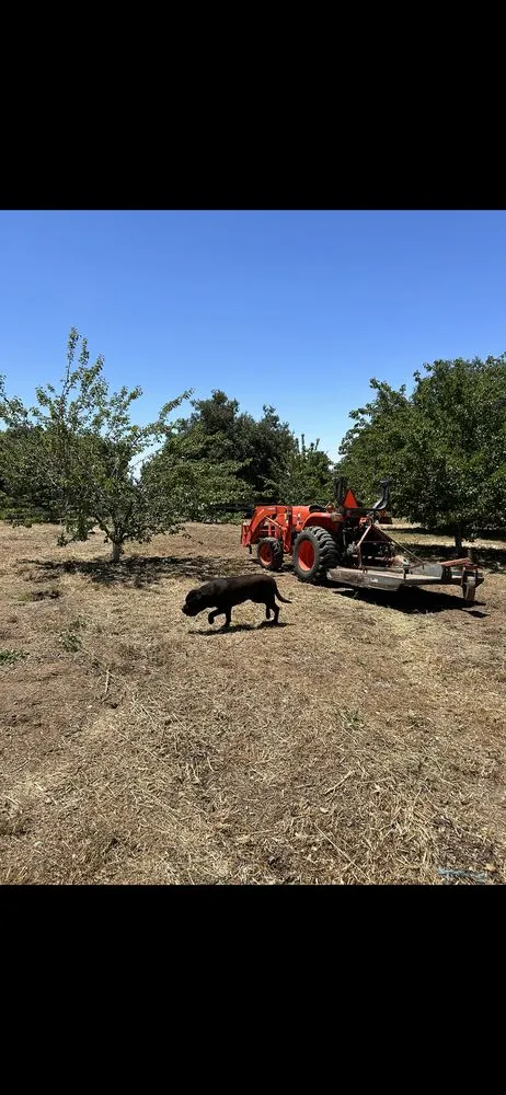 Custom lawn mowing service in Warner Springs, CA - Scott’s Field Mowing