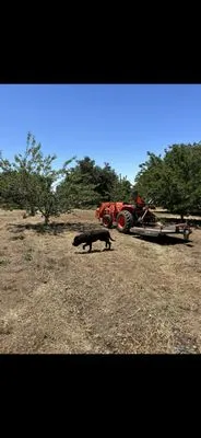 Scott’s Field Mowing
