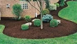 Top-rated outdoor landscaping in Manassas, VA by Scotts Grass Guys