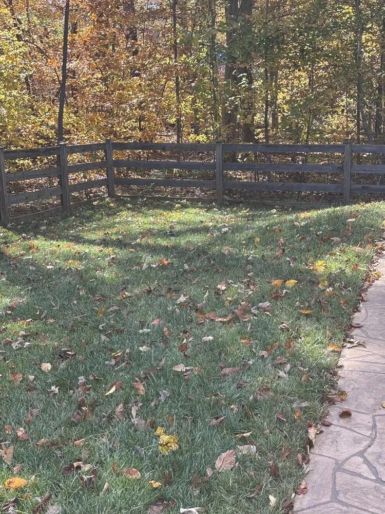 Affordable lawn care service in Stafford, VA by Scotts Grass Guys