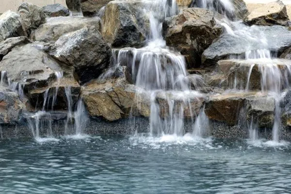 Top-rated yard cleanup service experts serving Warrenton, VA - Scotts Grass Guys