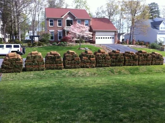 Professional lawn care service experts serving Warrenton, VA - Scotts Grass Guys