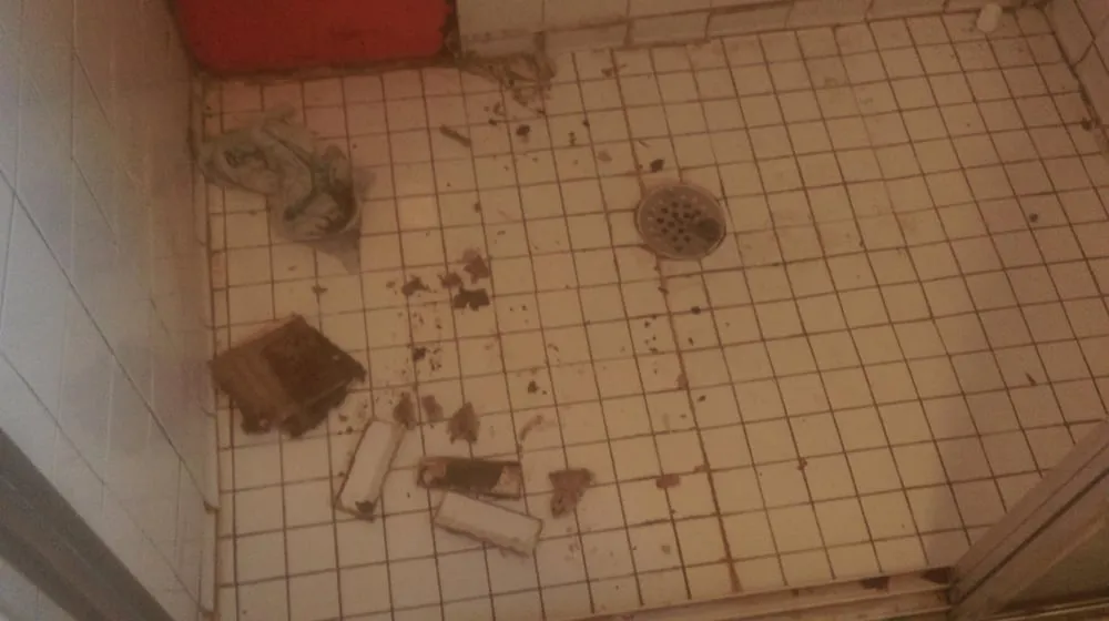 Reliable landscaping services in Kerhonkson, NY by Scotts Handyman And Landscaping Services