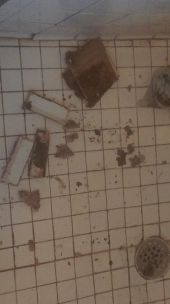 Top-rated landscape installation for homes across Kerhonkson, NY - Scotts Handyman And Landscaping Services