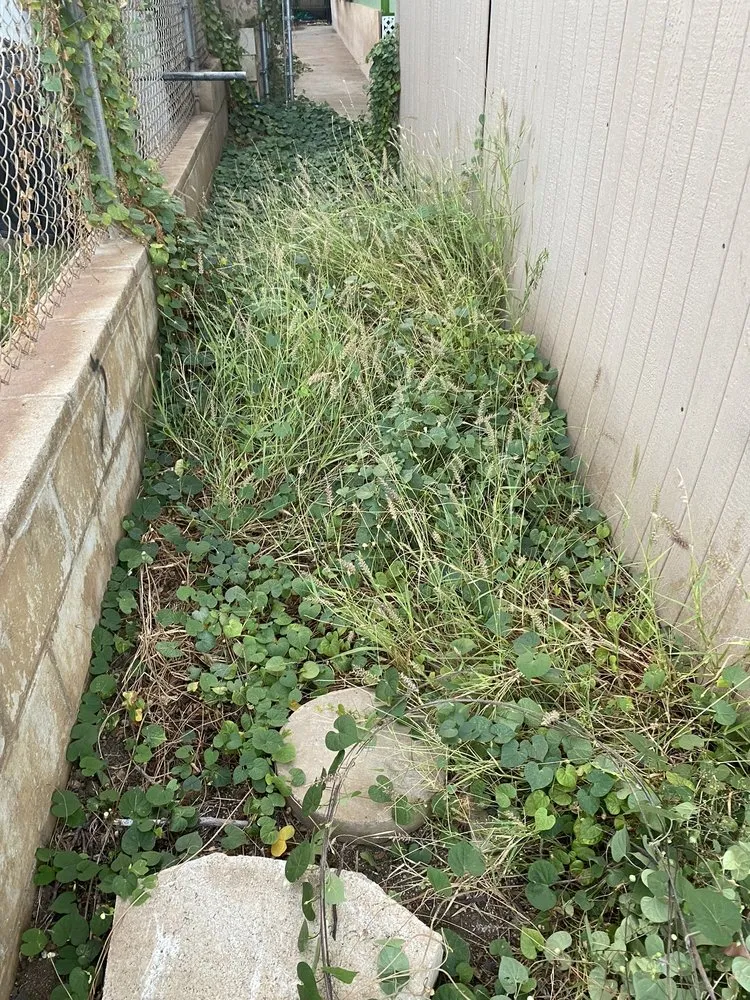 Affordable garden landscaping in Waianae, HI - Scott’s Irrigation and Landscape Repair