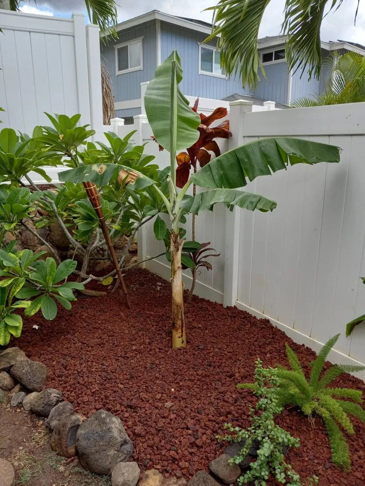 Reliable landscape design for homes across Waianae, HI - Scott’s Irrigation and Landscape Repair