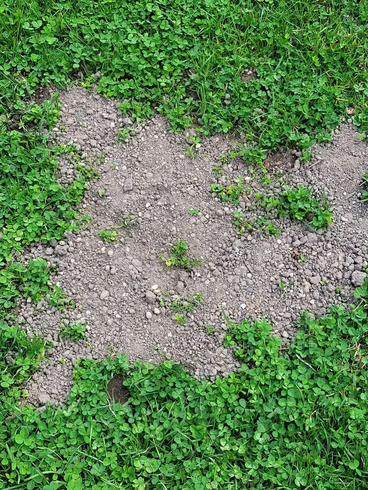 Expert landscaping services near you across Allegan, MI - Scott's Landscape Management & Supply