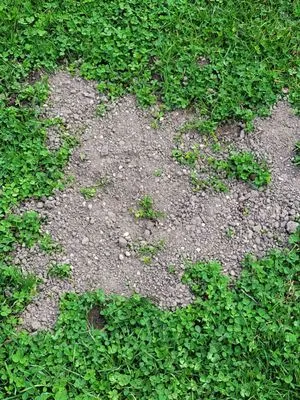 Scott's Landscape Management & Supply