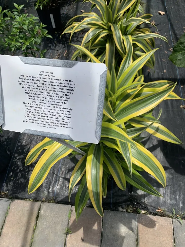 Local residential landscaping for homes across North Fort Myers, FL - Scott's Landscape Nursery