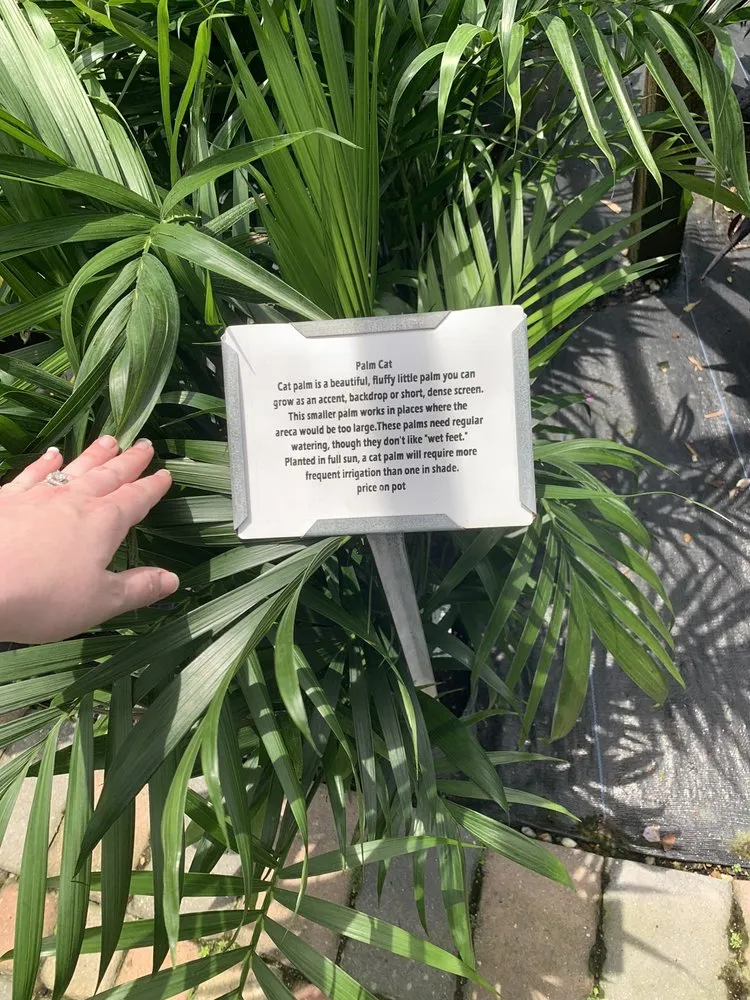 Expert garden landscaping experts serving North Fort Myers, FL - Scott's Landscape Nursery