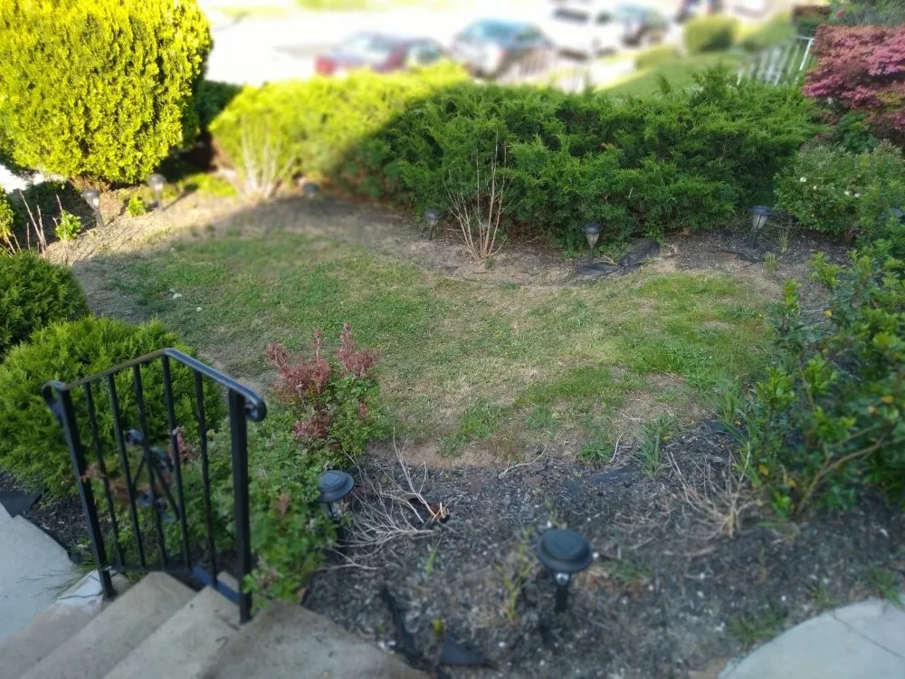 Local landscaping services in Philadelphia, PA - Scott's Landscaping and Snow Removal