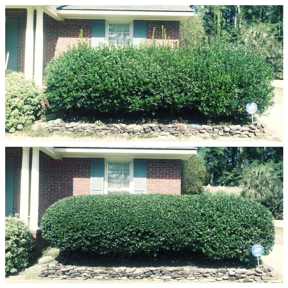 Reliable garden landscaping with custom design in Columbus, GA by Scott's Landscaping Lawncare