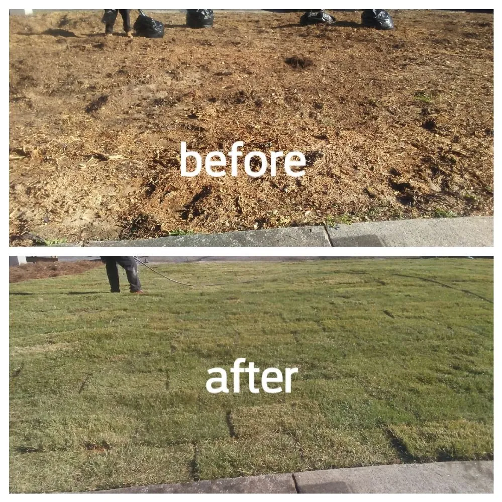 Reliable outdoor landscaping for year-round maintenance in Columbus, GA by Scott's Landscaping Lawncare