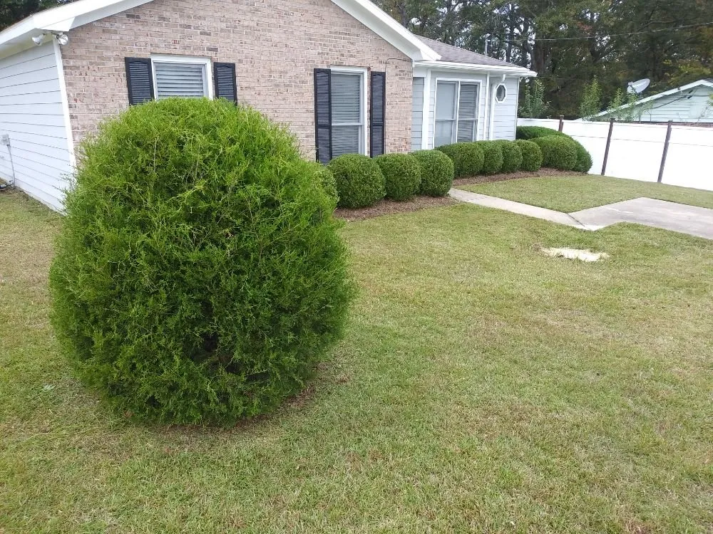 Professional landscaping services in Columbus, GA - Scott's Landscaping Lawncare