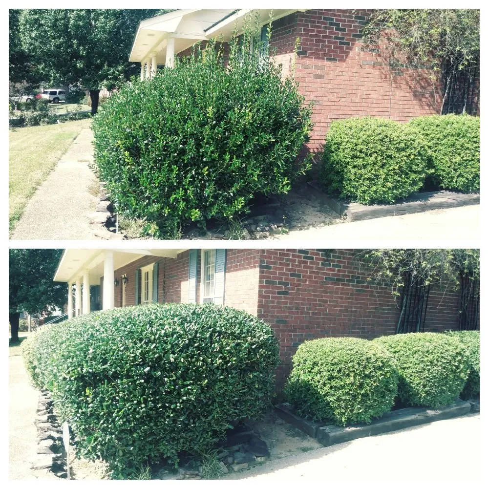 Custom yard maintenance for beautiful yards in Columbus, GA by Scott's Landscaping Lawncare