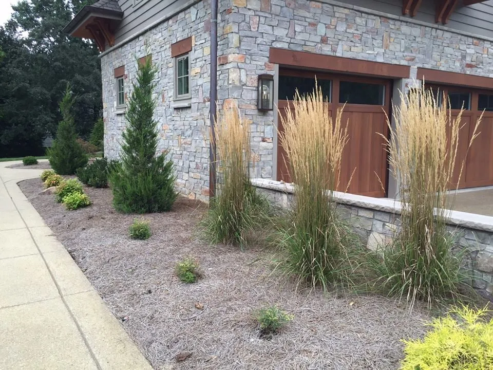 Expert yard cleanup service experts serving Louisville, KY - Scott's Landscaping