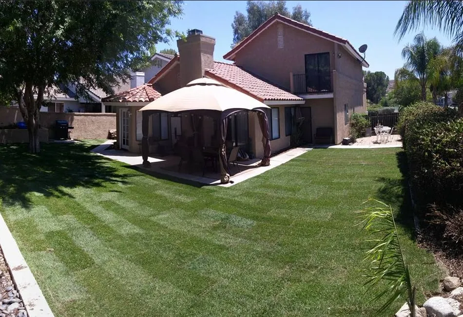 Local lawn care service experts serving Menifee, CA - Scott's Landscaping