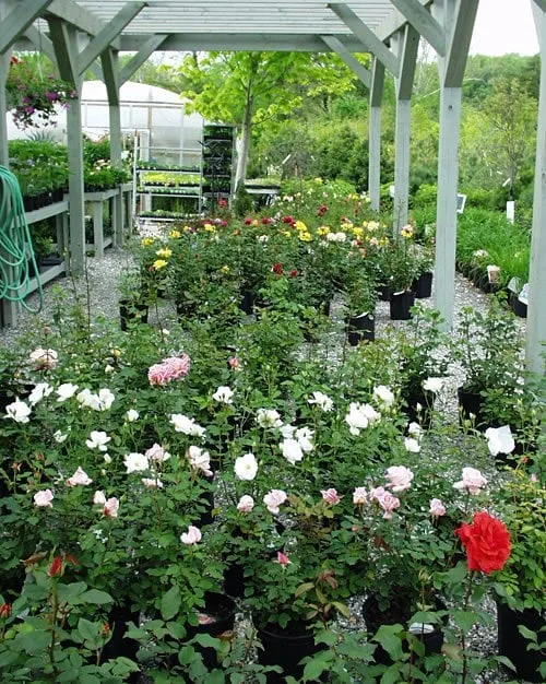 Reliable landscaping services for year-round maintenance across New Milford, CT - Scott's Landscaping