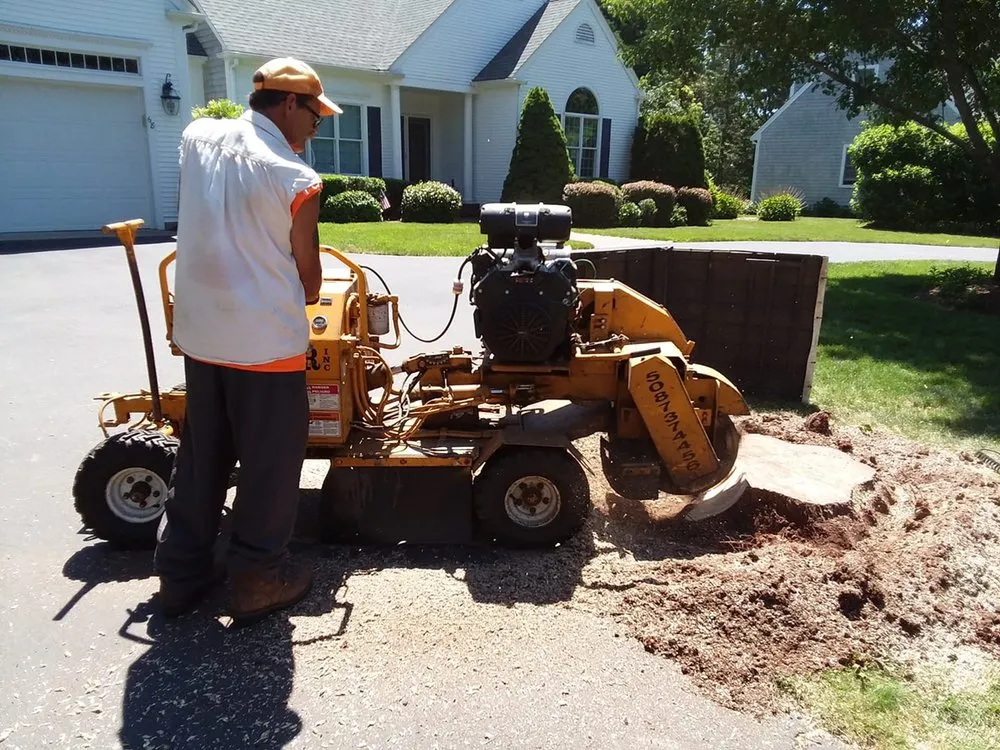 Reliable yard cleanup service in Yarmouth, MA by Scott's Landscaping Property Management