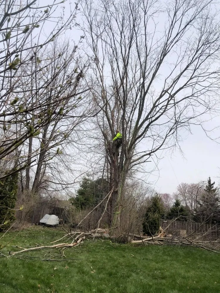 Expert landscaping services in Saginaw, MI by Scott's Landscaping