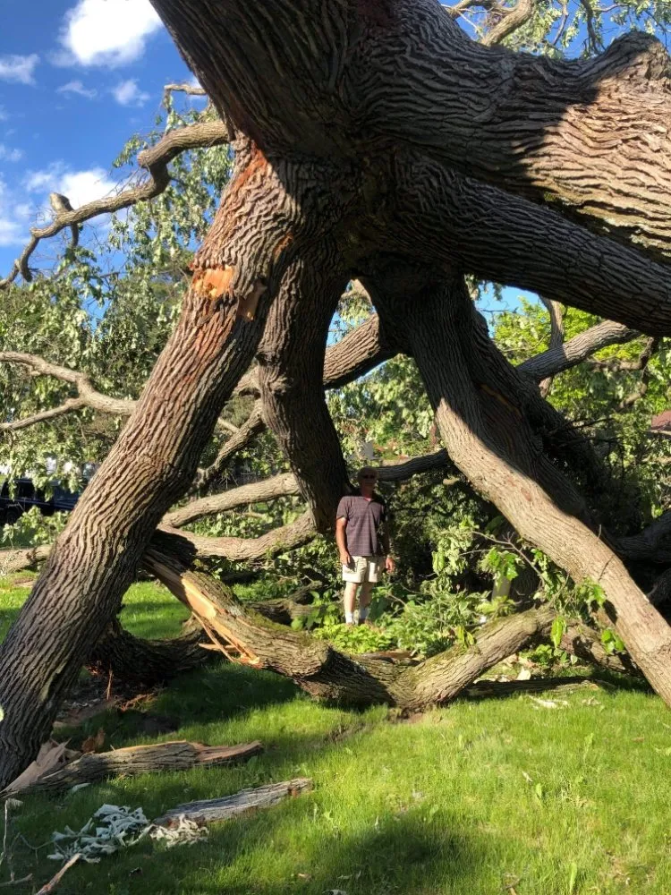 Affordable yard maintenance with custom design in Saginaw, MI by Scott's Landscaping