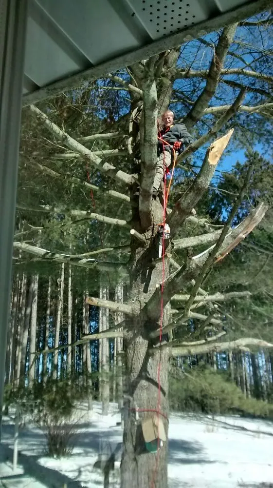 Affordable landscape design for outdoor upgrades in Saginaw, MI by Scott's Landscaping