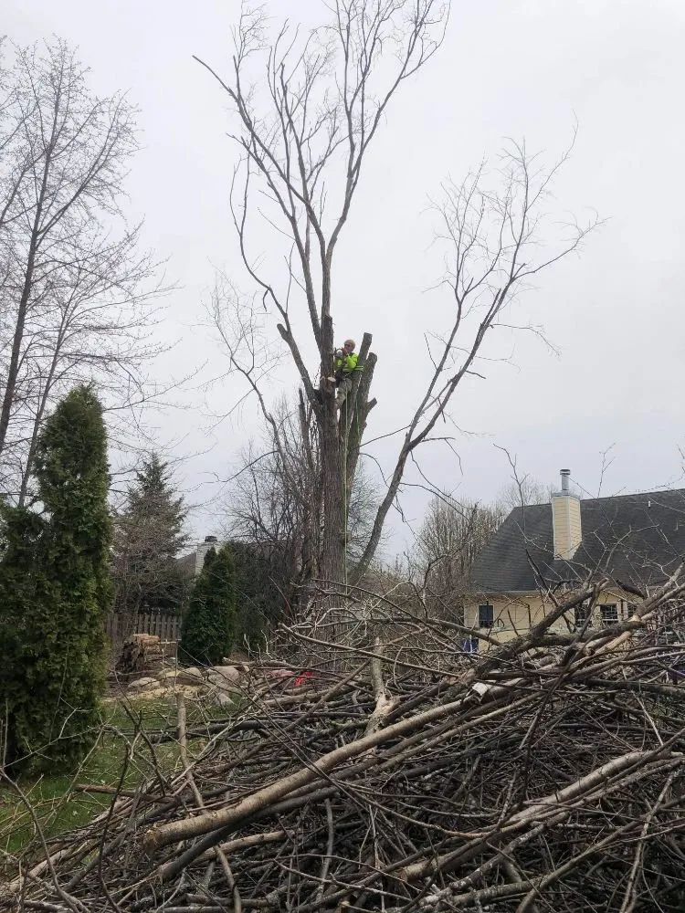 Reliable outdoor landscaping in Saginaw, MI by Scott's Landscaping