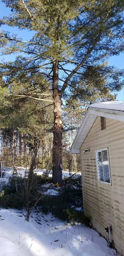 Expert landscape installation experts serving Saginaw, MI - Scott's Landscaping