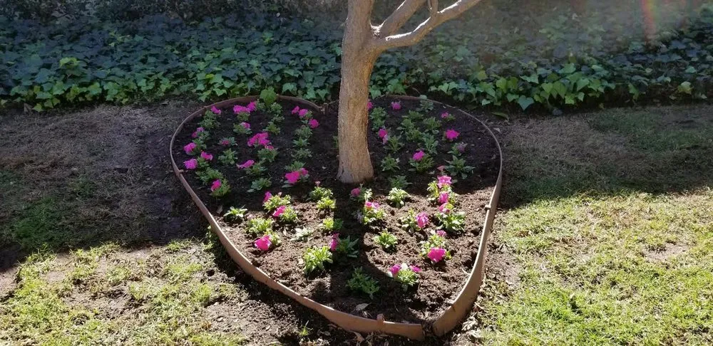 Local landscape design in Santee, CA by Scott's Landscaping