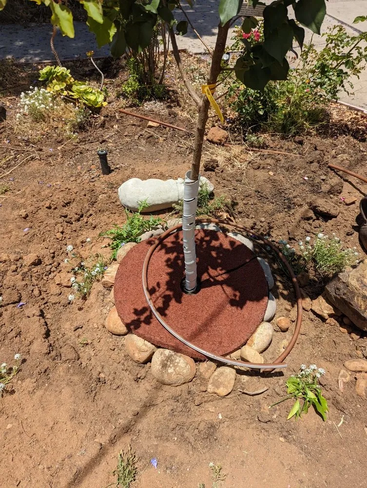 Trusted outdoor landscaping in Santee, CA - Scott's Landscaping