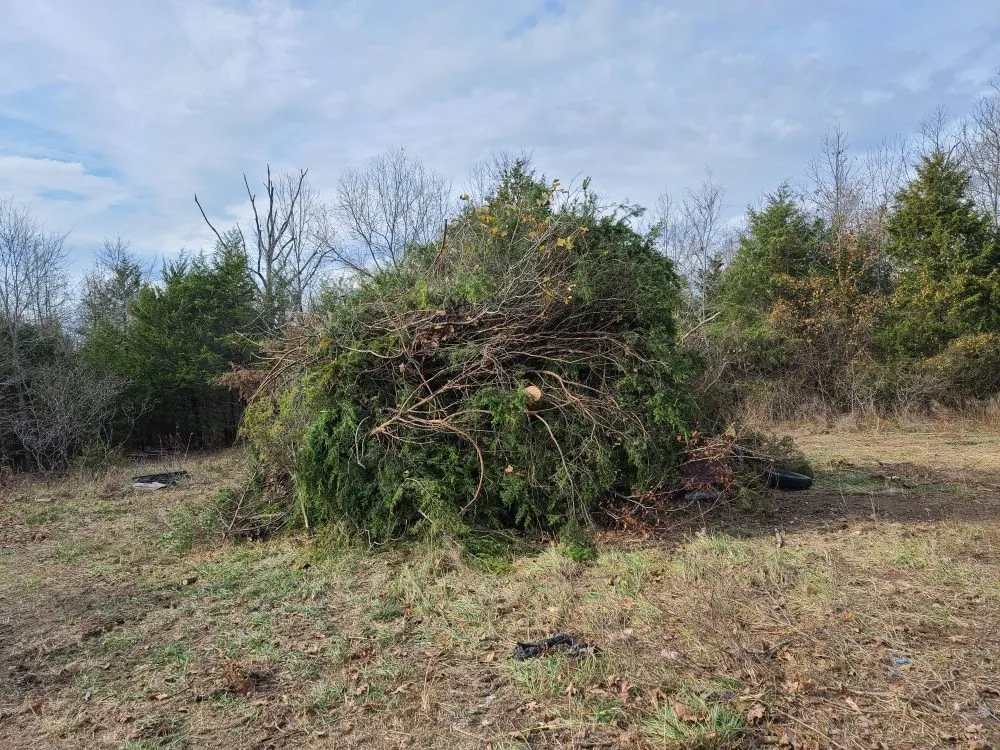 Expert yard cleanup service experts serving Mountain Home, AR - Scott's Lawn & Home Maintenance