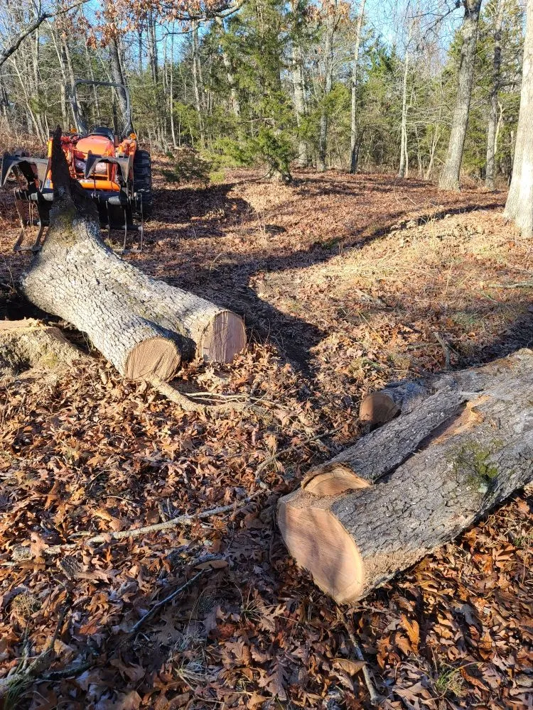 Reliable outdoor landscaping experts serving Mountain Home, AR - Scott's Lawn & Home Maintenance