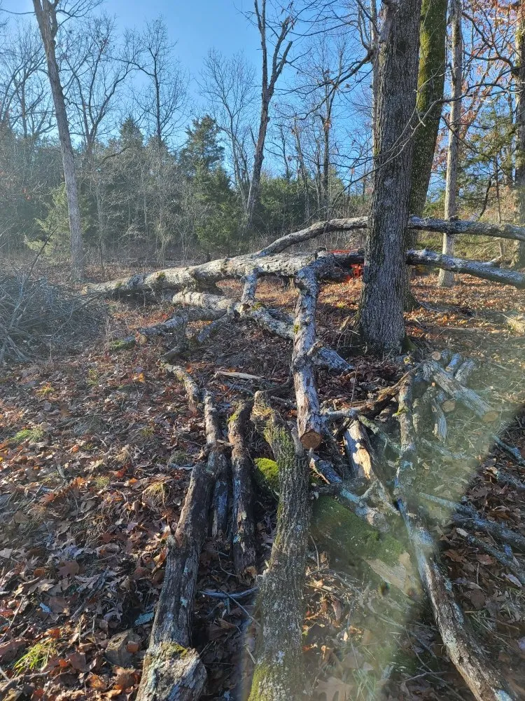 Trusted landscape design for outdoor upgrades across Mountain Home, AR - Scott's Lawn & Home Maintenance