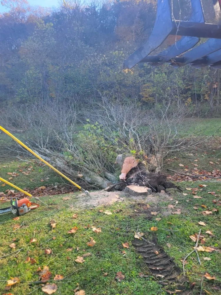 Affordable landscaping services for outdoor upgrades across Mountain Home, AR - Scott's Lawn & Home Maintenance