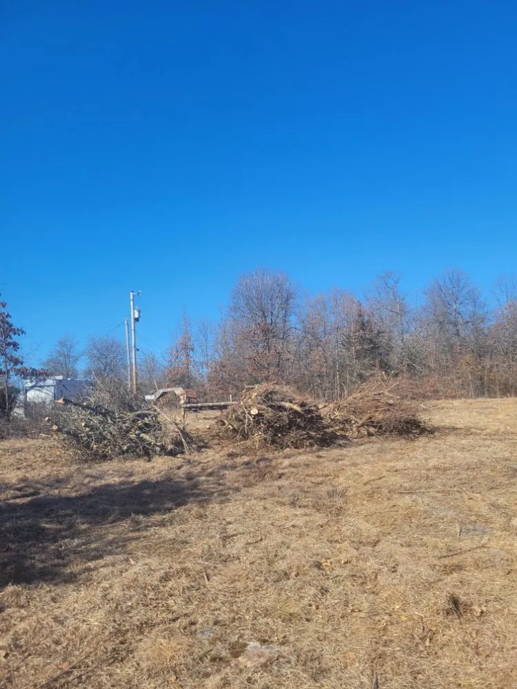 Trusted garden landscaping near you across Mountain Home, AR - Scott's Lawn & Home Maintenance