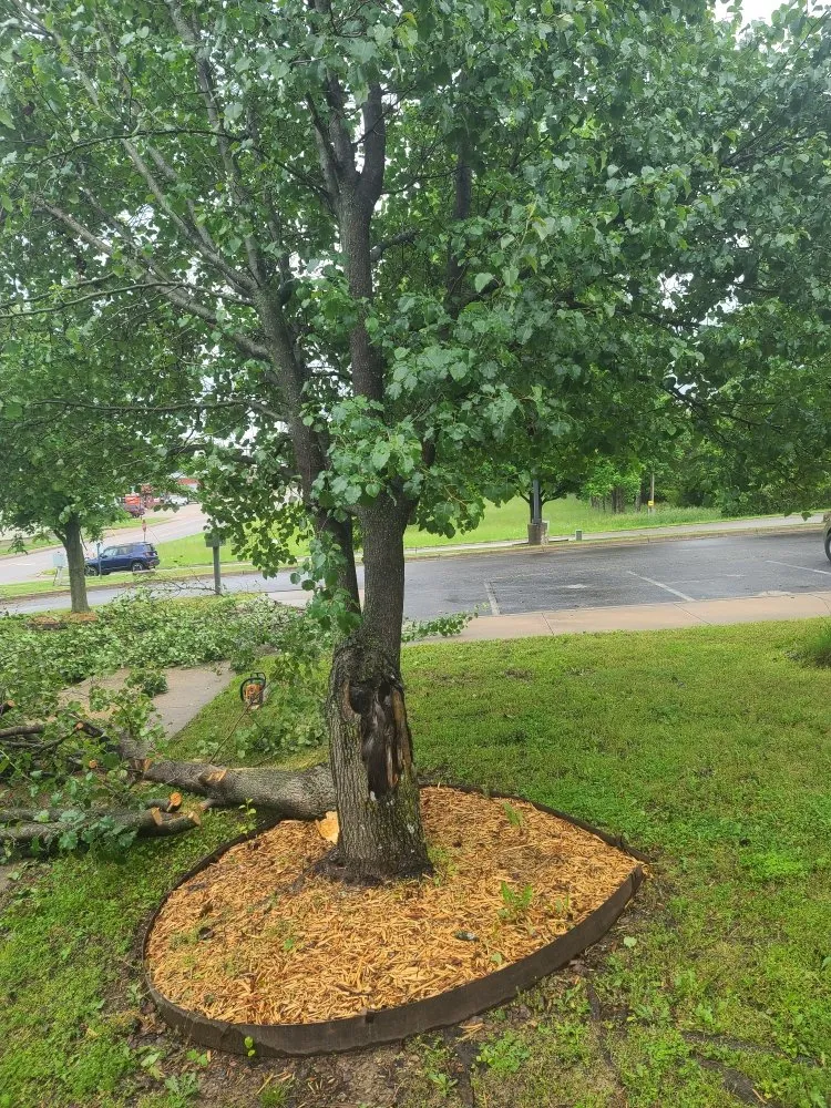 Trusted lawn care service for homes in Mountain Home, AR by Scott's Lawn & Home Maintenance