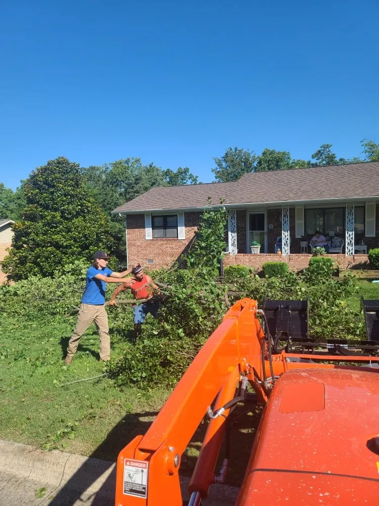 Professional residential landscaping for homes in Mountain Home, AR by Scott's Lawn & Home Maintenance