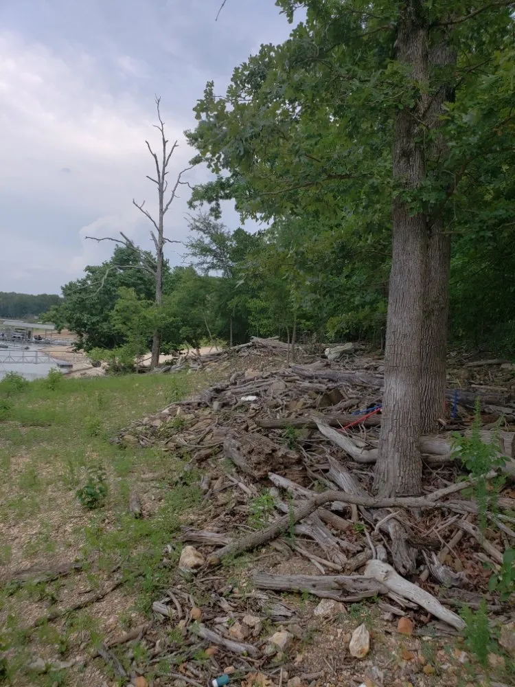 Custom yard cleanup service in Mountain Home, AR - Scott's Lawn & Home Maintenance