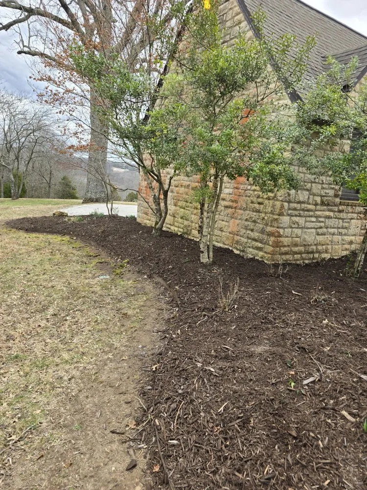 Local yard maintenance for beautiful yards in Mountain Home, AR by Scott's Lawn & Home Maintenance