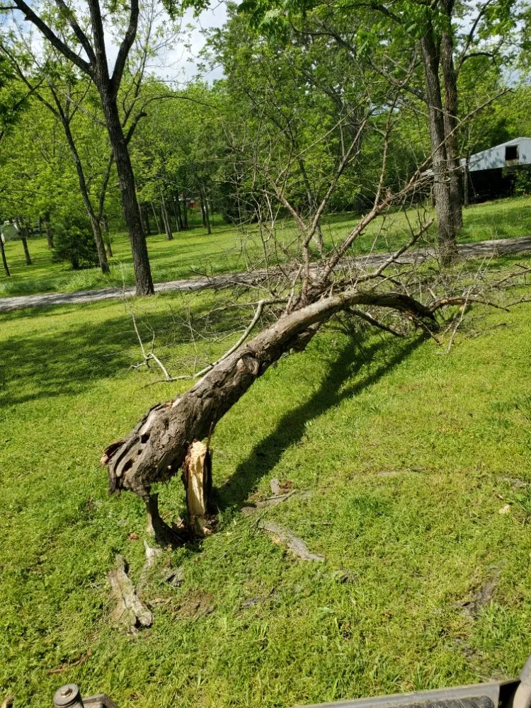 Expert lawn care service experts serving Mountain Home, AR - Scott's Lawn & Home Maintenance