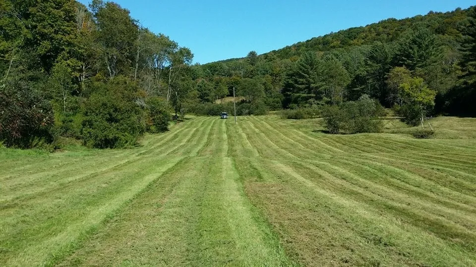 Affordable lawn mowing service for year-round maintenance in White River Jct, VT by Scott's Lawn and Landscape - White River Junction
