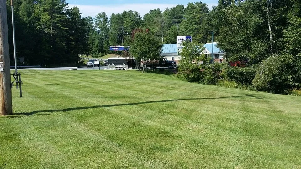 Expert yard cleanup service experts serving White River Jct, VT - Scott's Lawn and Landscape - White River Junction