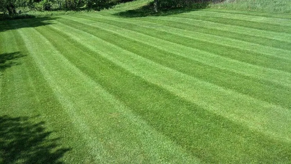 Top-rated outdoor landscaping in White River Jct, VT - Scott's Lawn and Landscape - White River Junction