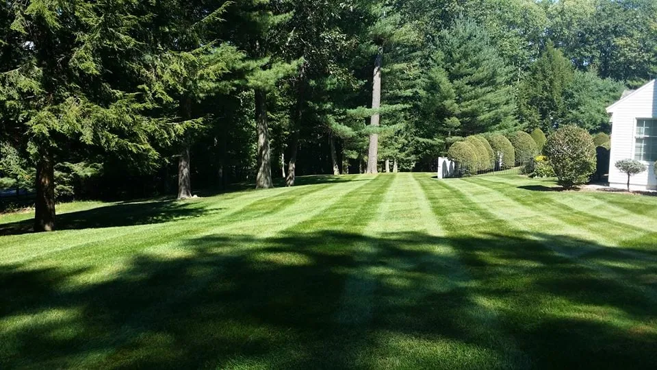 Custom yard maintenance for residential properties across White River Jct, VT - Scott's Lawn and Landscape - White River Junction