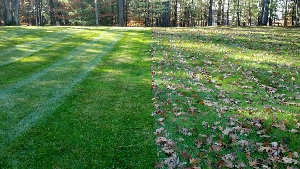 Local yard cleanup service for residential properties across White River Jct, VT - Scott's Lawn and Landscape - White River Junction