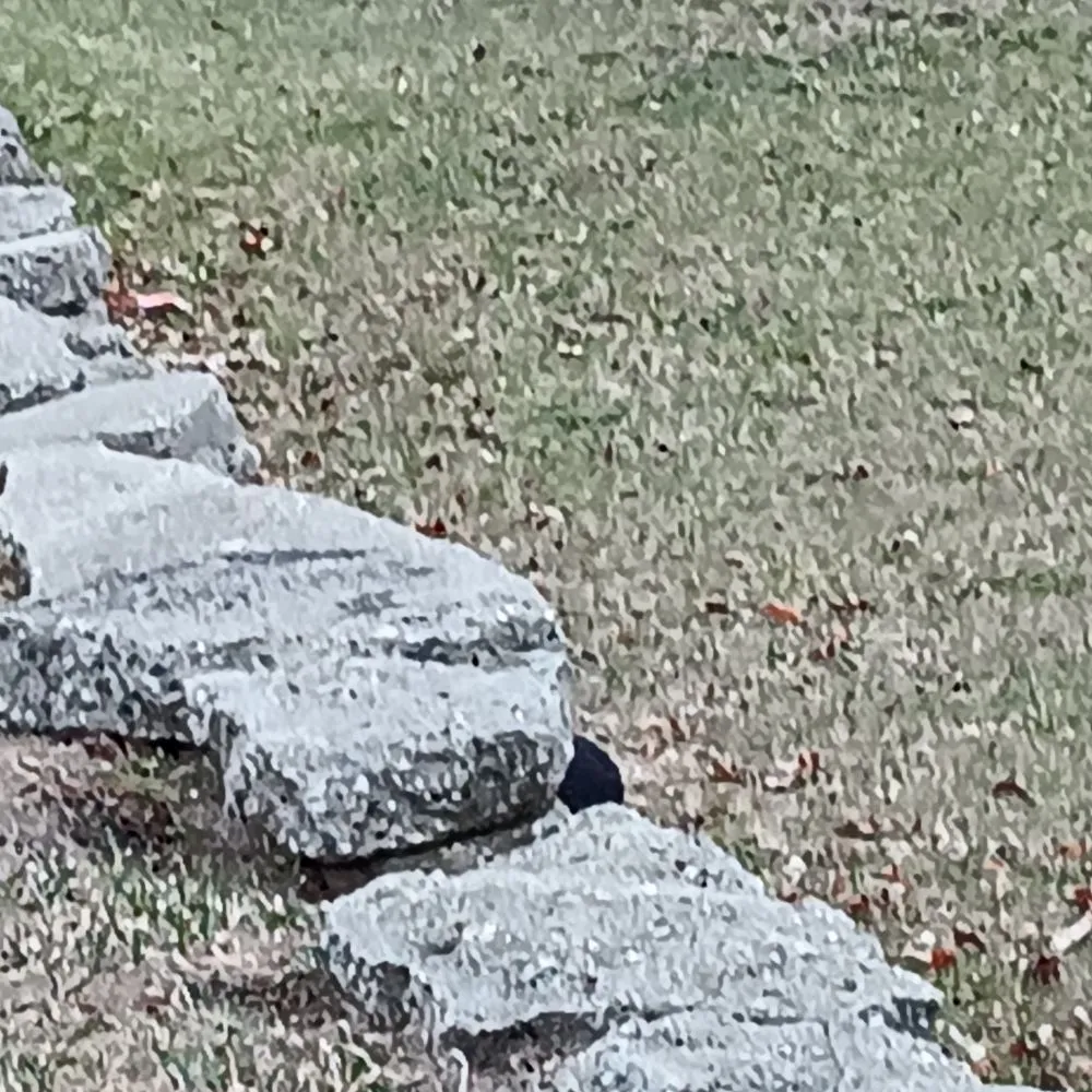 Top-rated outdoor landscaping experts serving Big Rapids, MI - Scotts Lawn Care